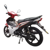 HL125-8 Fuel Powered Motorcycle